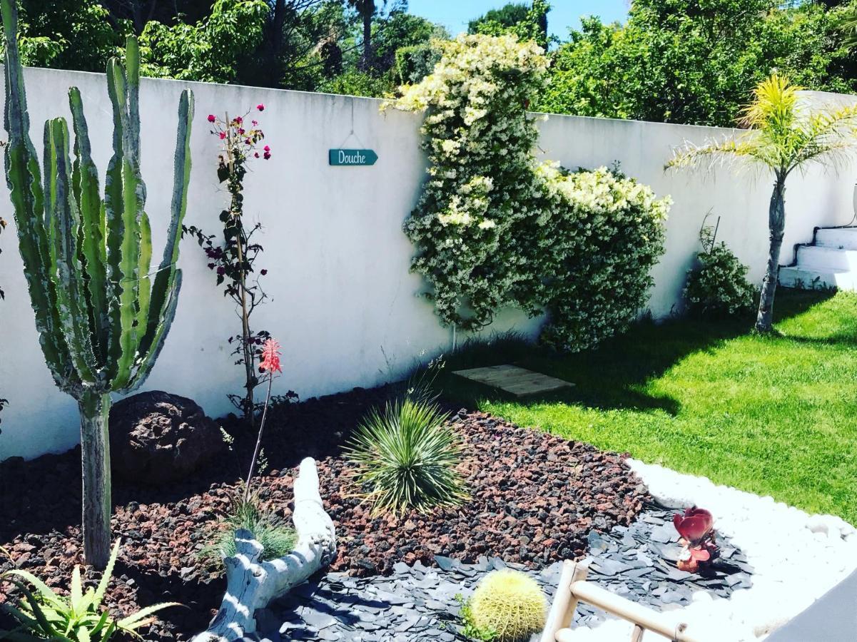 Villa Le Sud Cassis Eksteriør bilde