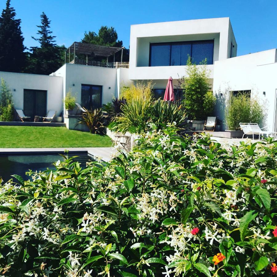 Villa Le Sud Cassis Eksteriør bilde